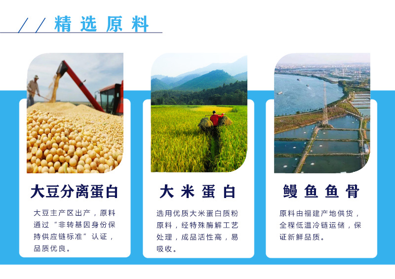 海南原肽大豆蛋白肽蛋白粉食品添加蛋白粉大豆营养纯原料大豆肽