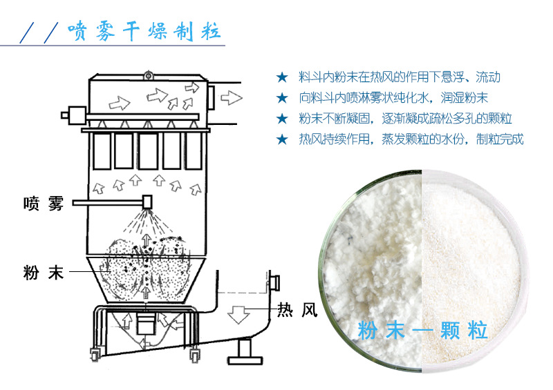 海南原肽大豆蛋白肽蛋白粉食品添加蛋白粉大豆营养纯原料大豆肽