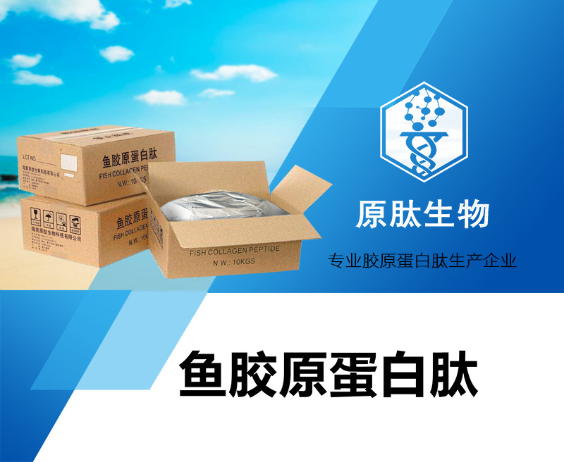 源头工厂胶原蛋白质粉颗粒饮料鱼皮肽原料鱼皮胶原蛋白肽