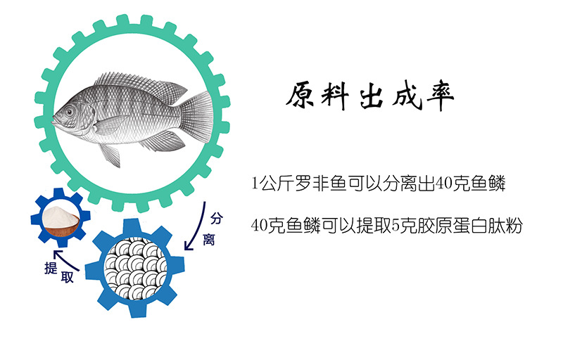 海南原肽 源头工厂鱼鳞鱼皮提取化妆品级食品级鱼胶原蛋白肽