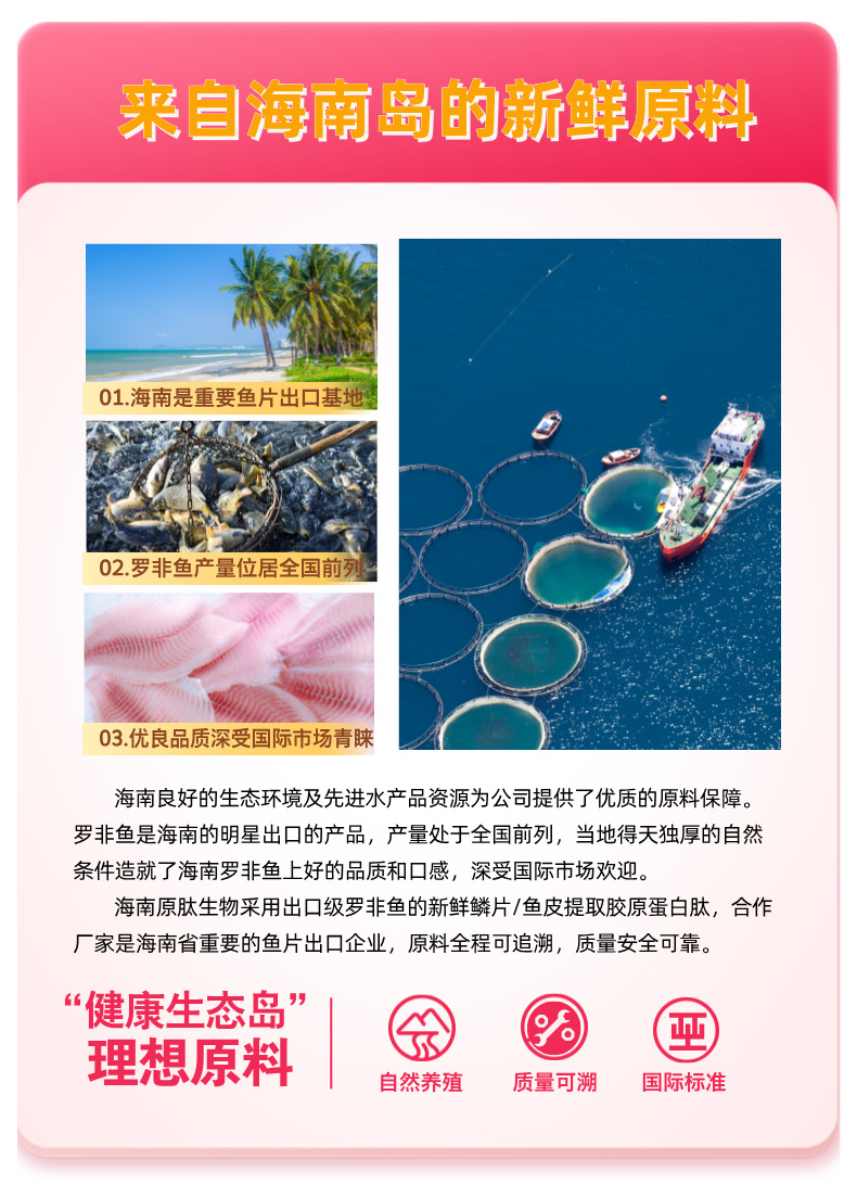 海南原肽工厂亚马逊一件代发批发定制胶原蛋白肽粉胶原蛋白软糖