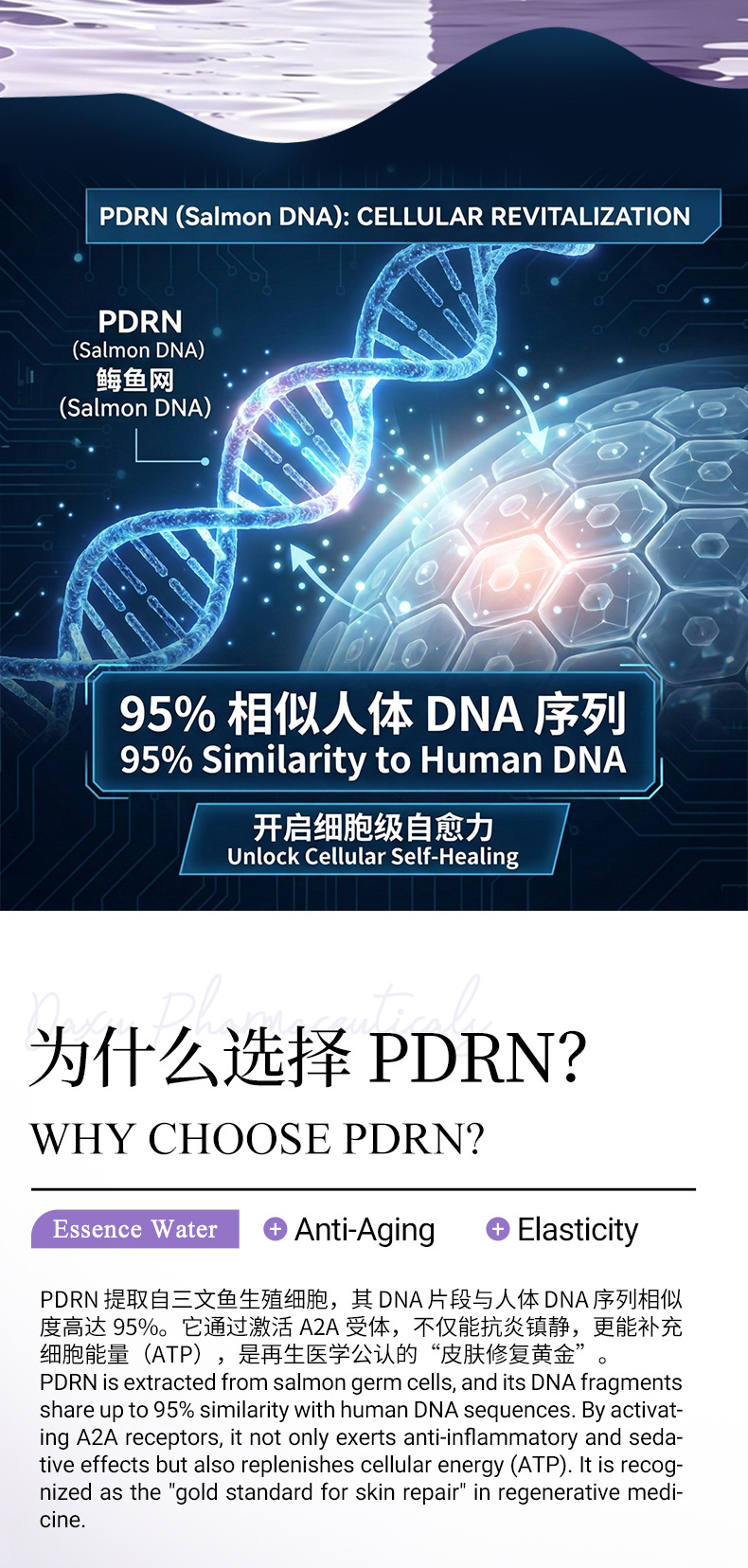 跨境专供PDRN智研赋活原液护肤三文鱼DNA修复精华舒缓代加工