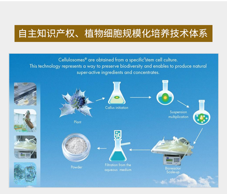 植物细胞精华液oem天山雪莲植物提取细胞紧致抗皱精华贴牌代加工