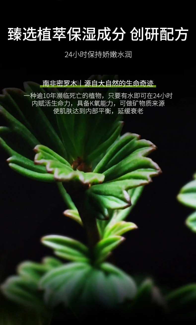 定制密罗木精华水oem补水保湿紧致抗皱面部精华油护肤品贴牌加工