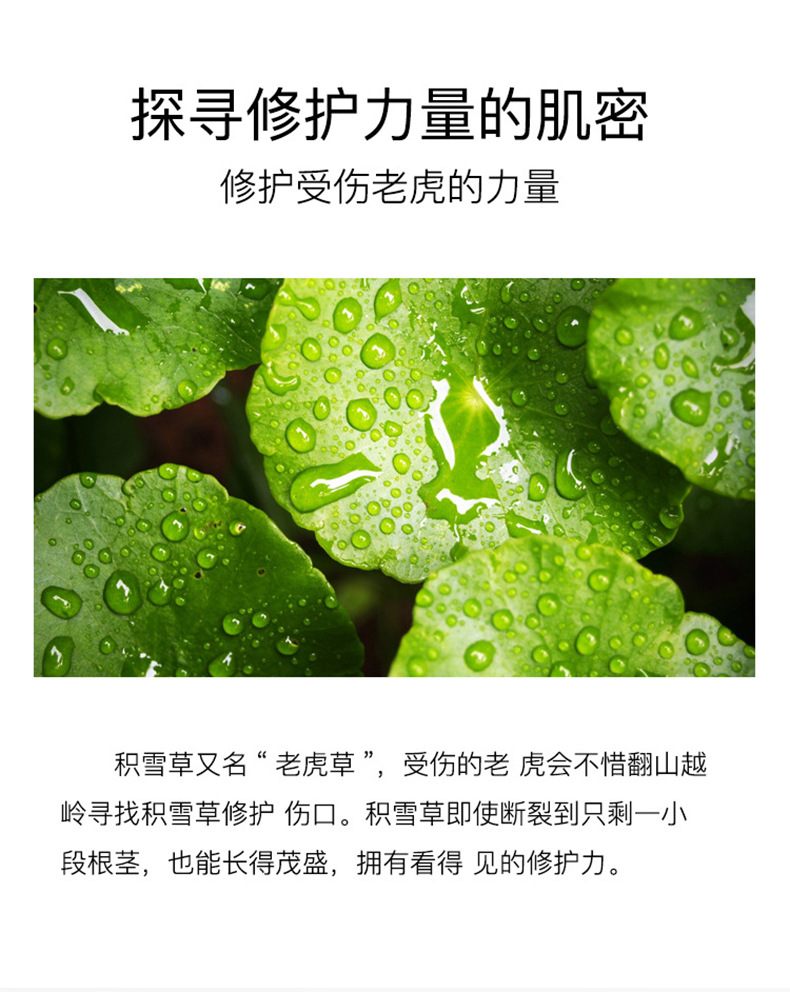 定制抗皱修护精华液代加工保湿紧致淡纹oem维A醇原液贴牌抗老