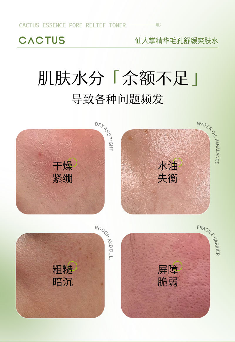 爽肤水跨境定制仙人掌精华毛孔舒缓精华液贴牌OEM亚马逊贴牌加工